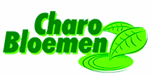 charo